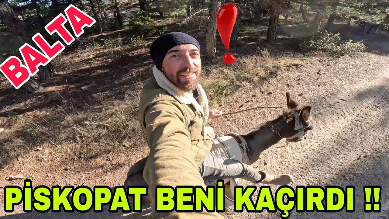 PİSKOPAT BENİ KACIRDI !! ÇAM REÇİNESİ SAKIZI~MİNİK BALTA~YAZ AYINDAN KALMA GÜN