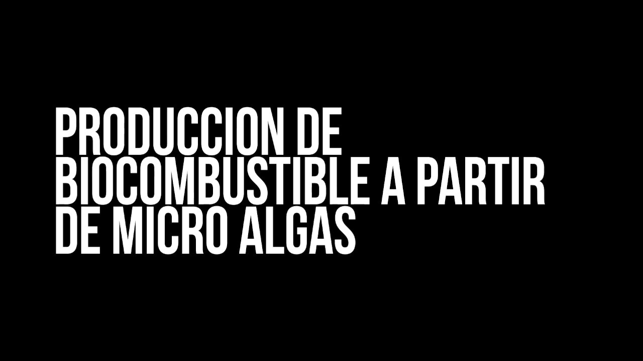 Biocombustible