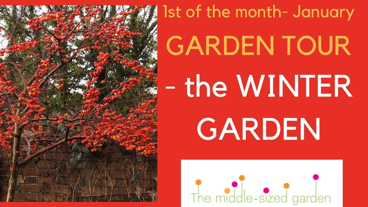 The winter garden -  the 1st of the month Garden Tour for January
