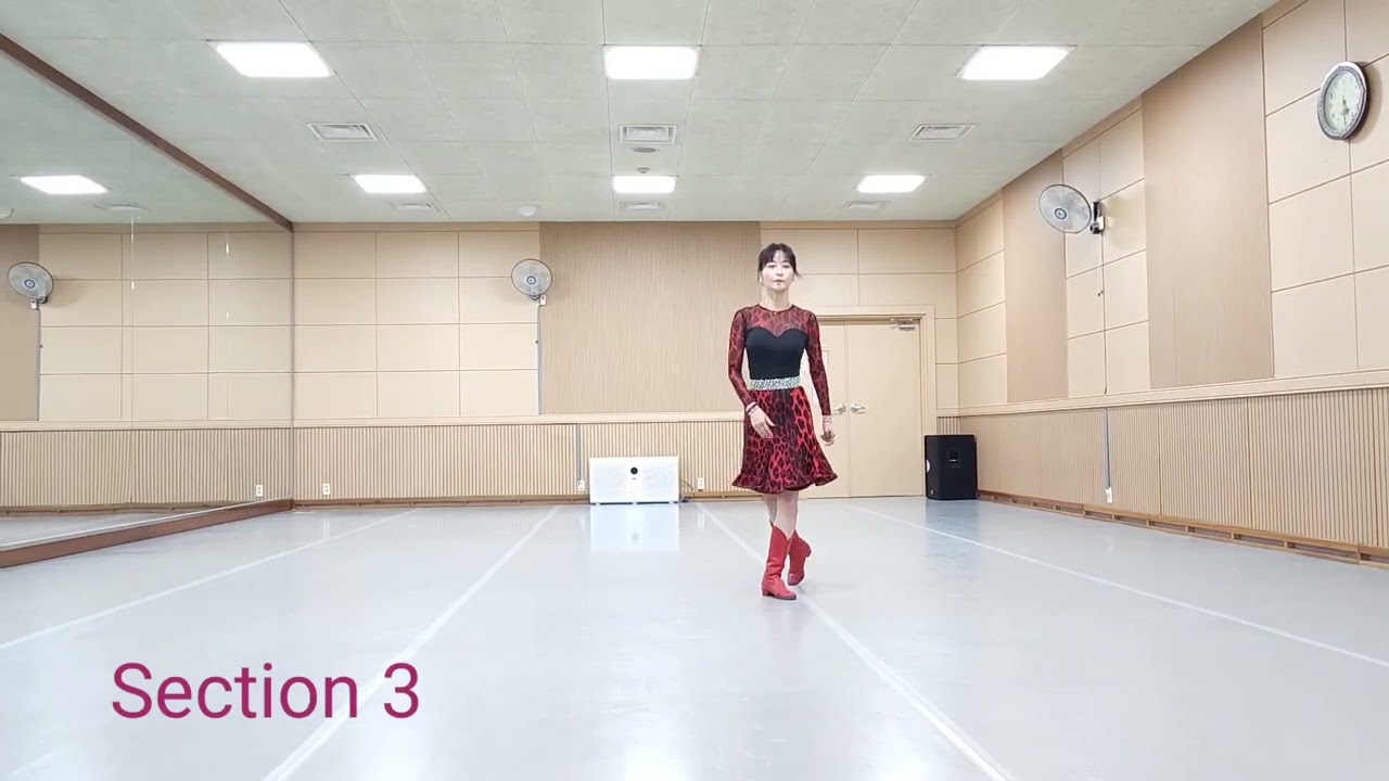 Can't Read My Face - Novice Line Dance (Tutorial)