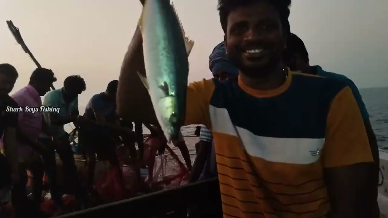 கடலில் மிதந்து வந்த குப்பையில் கிடைத்த 2 டன் மீன்கள்!
