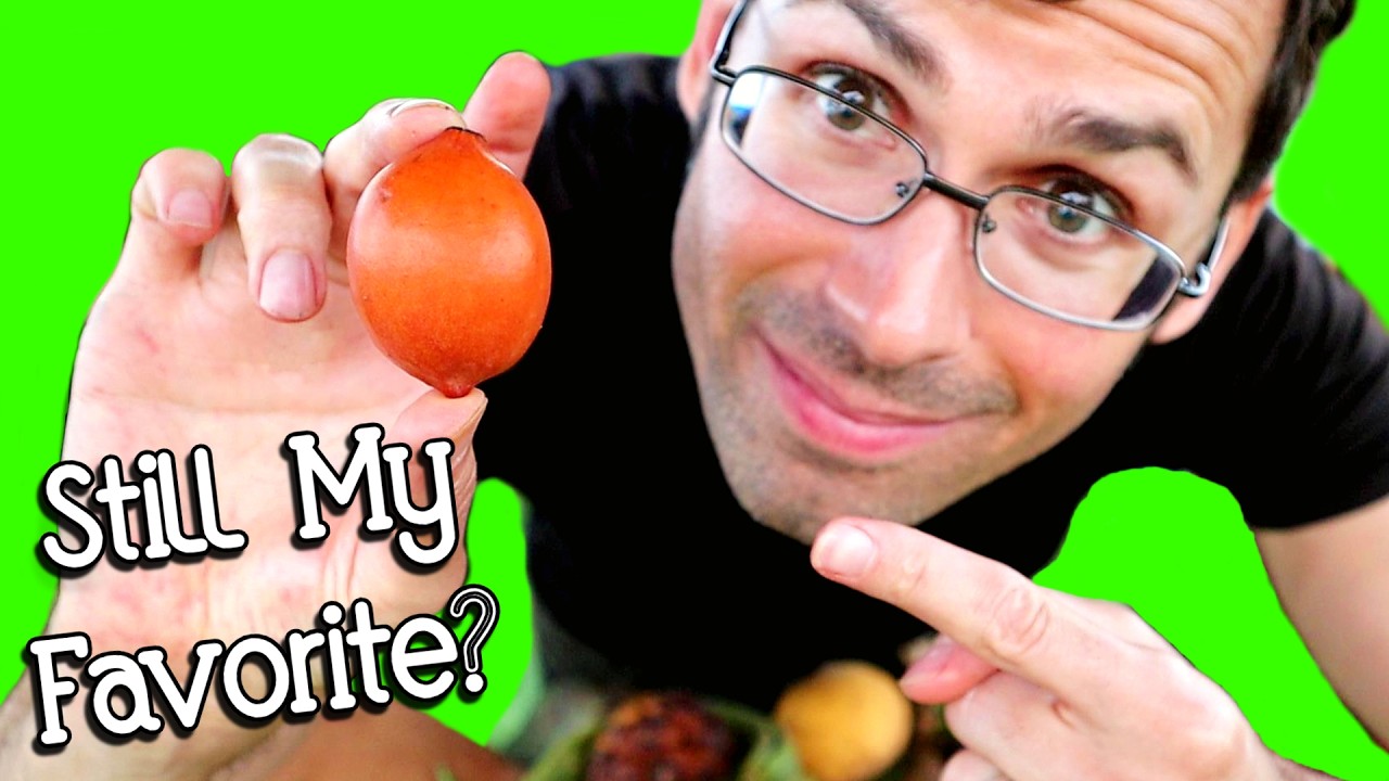 ACHACHA - Trying my favorite fruit for the first time in 12 Years (Achachairu Garcinia)