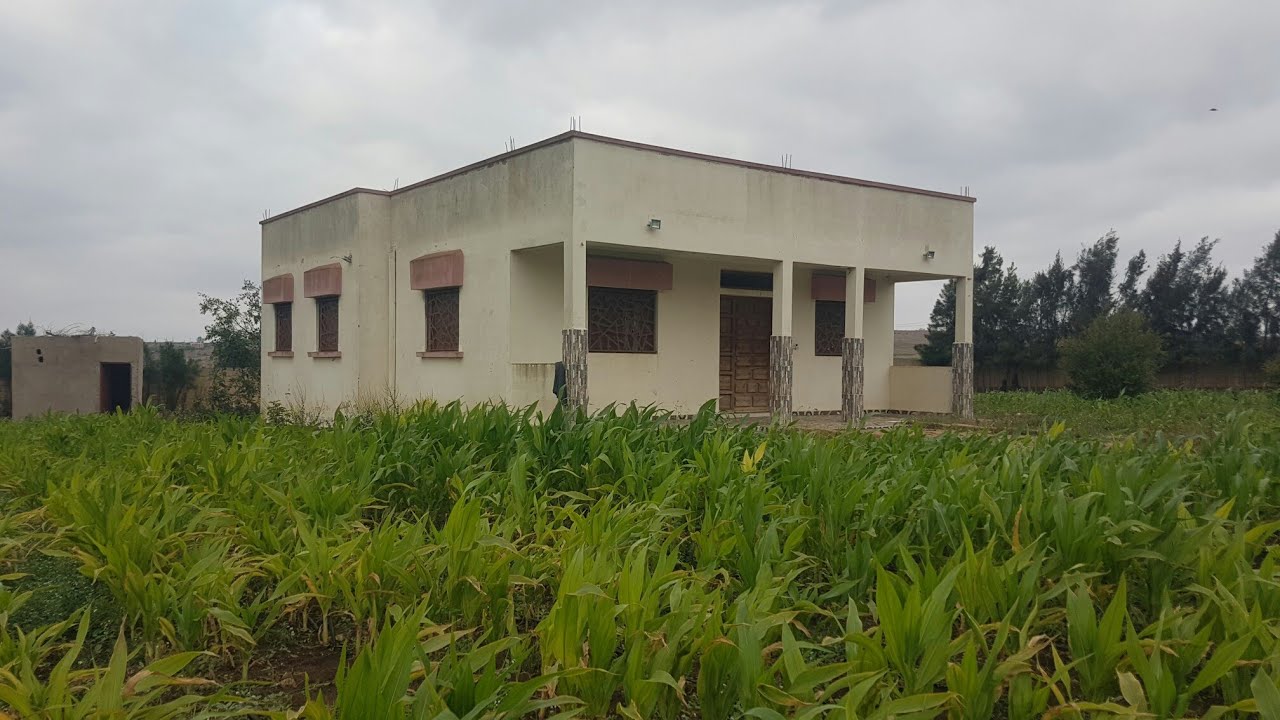 🏡فيرمة رائعة🌱محفظة فيها الدار والبير   للبيع بأولاد حمدان إقليم الجديدة