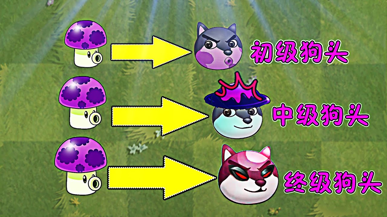 植物大戰僵屍：小蘑菇變強之路！