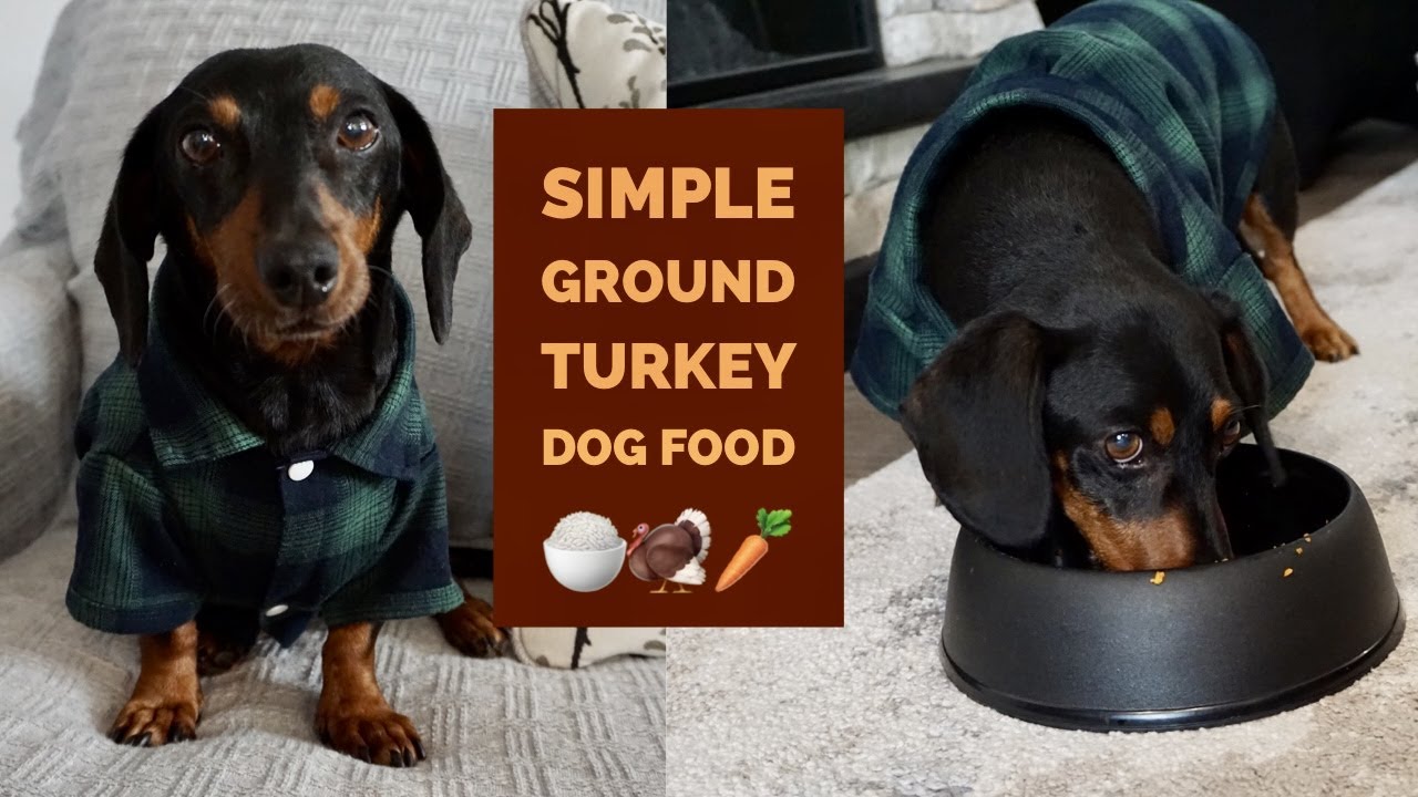 SIMPLE HOMEMADE GROUND TURKEY DOG FOOD!!! 🍚🦃🥕