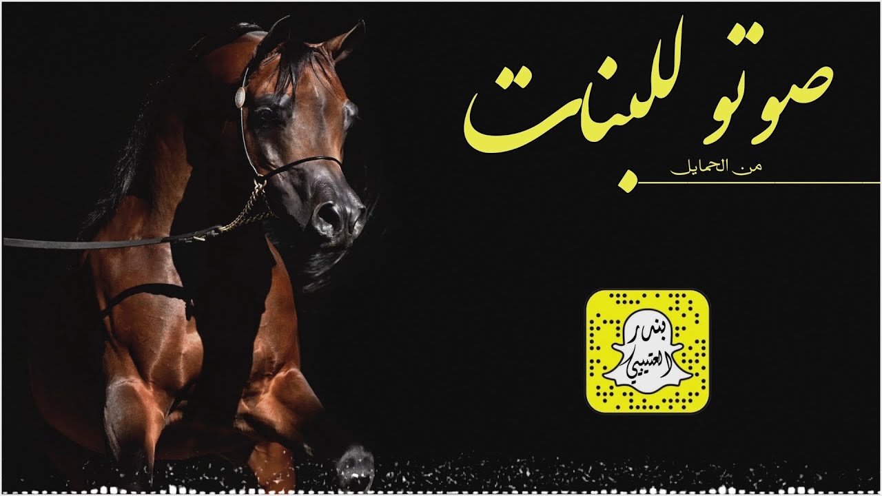 صوتو للبنات من الحمايل اداء ماجد الرحيمي 2025 حصرياً