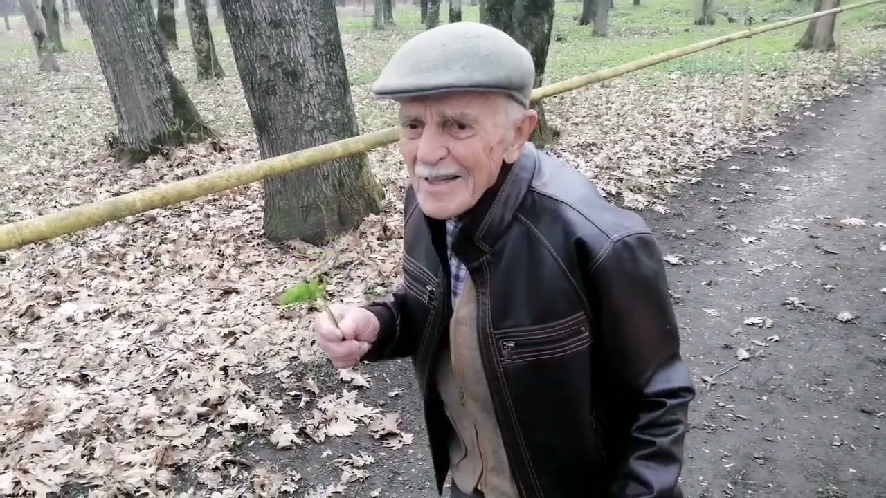 Сныть, дубы и червячки.