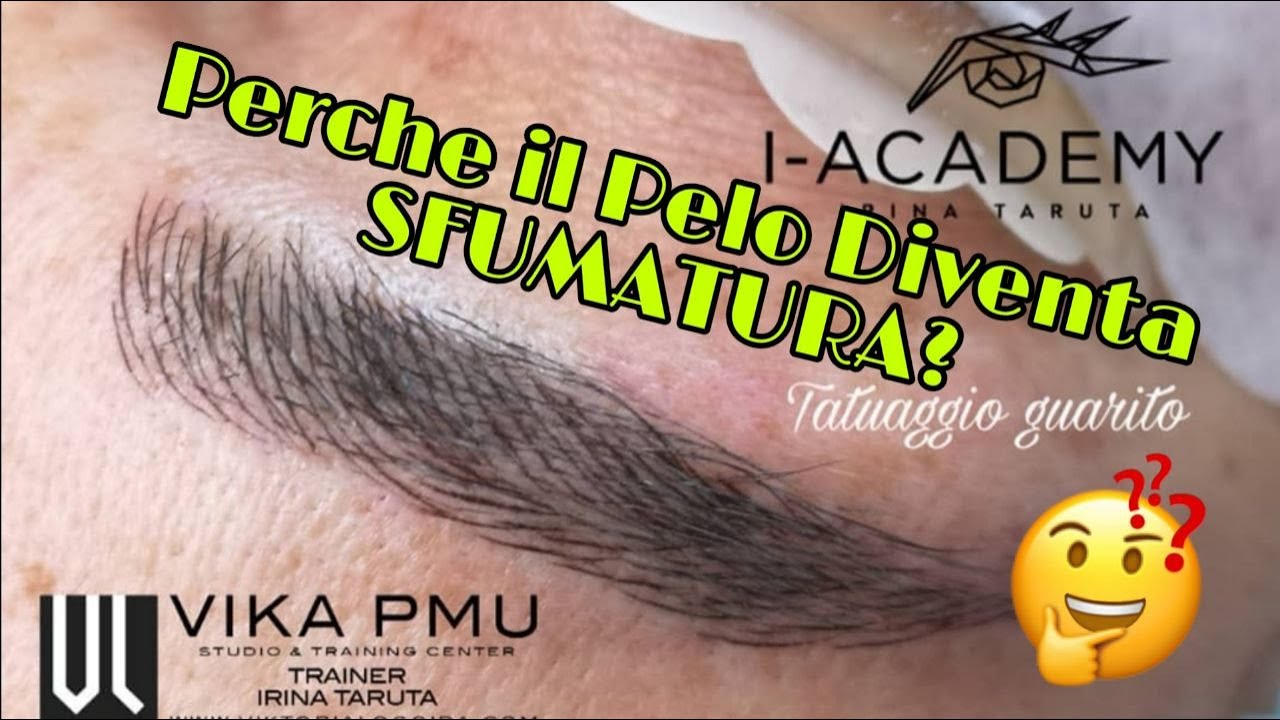 Perché Il Pelo Diventa SFUMATURA?