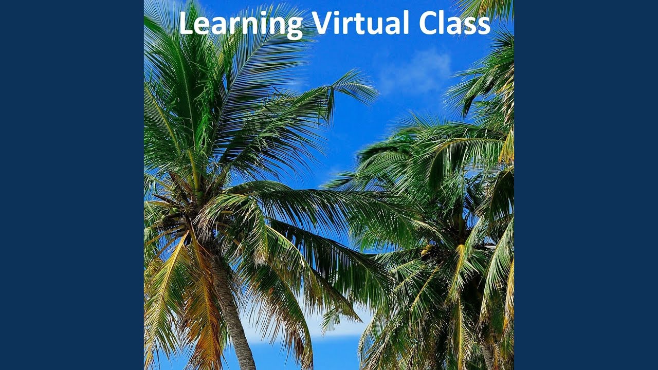 Learning Virtual Class