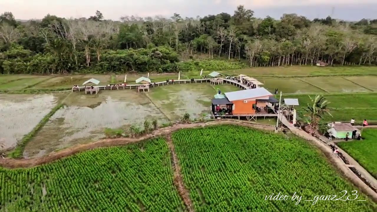 Wisata sawah