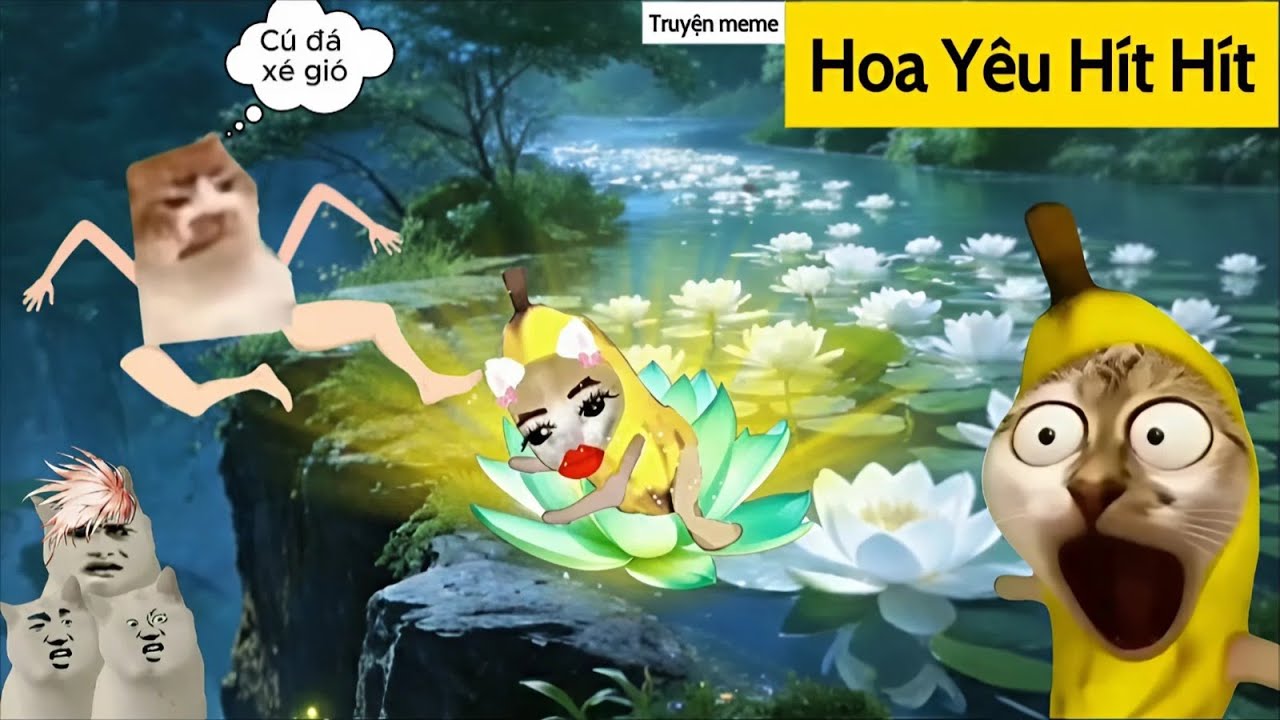 Truyện meme | Hoa Y&ecirc;u H&iacute;t H&iacute;t