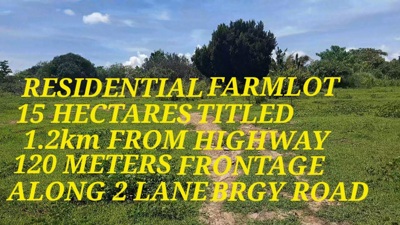 #vlog #537 RESIDENTIAL FARMLOT,W/RICELAND AND PASTURELAND IN CUYAPO NUEVA ECIJA,15 HECTARES
