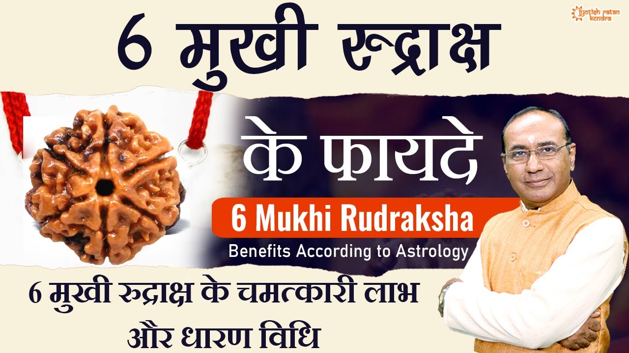 6 मुखी रुद्राक्ष के फायदे और विधि  | Benefits of 6 Mukhi Rudraksha | Astrology