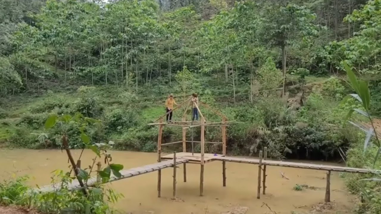 Full Video : Daily life in a bamboo house - building a new life