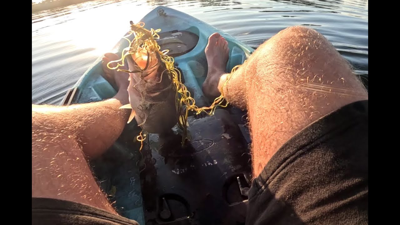 Warming temperatures getting the spawn heated up down here in Florida.