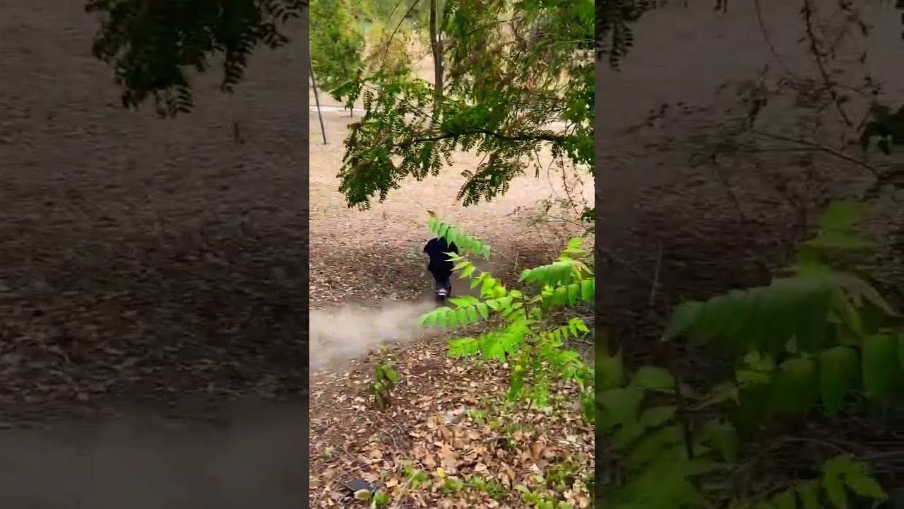 #downhill #scooter #skate #extreme #slowed