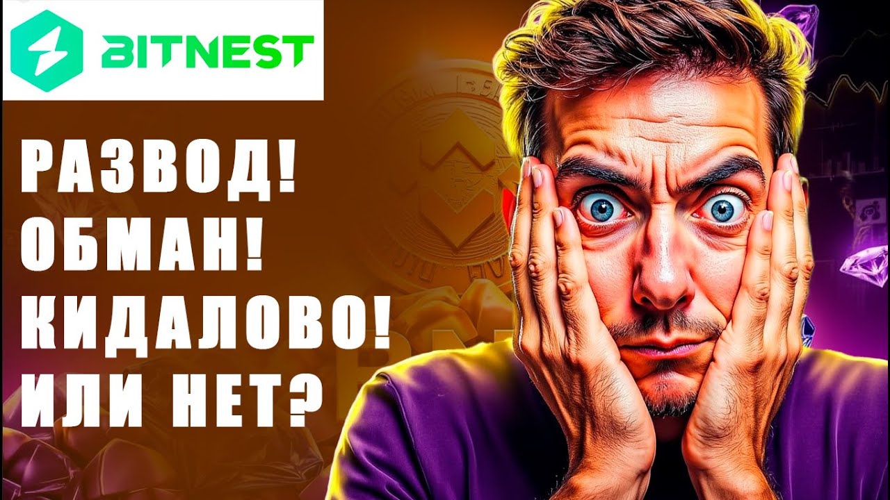 Bitnest очень не честный обзор 2025