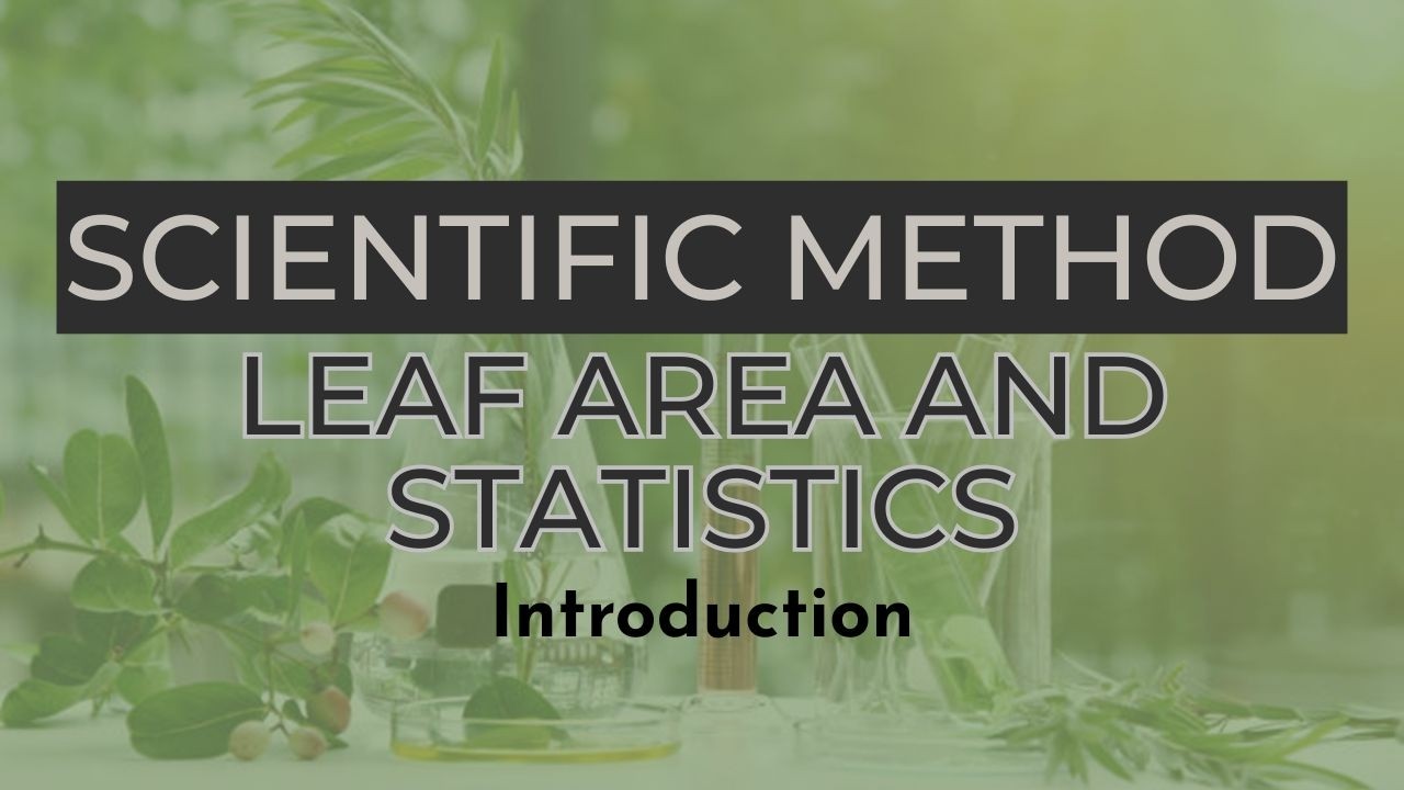 Scientific Method Lab: Introduction