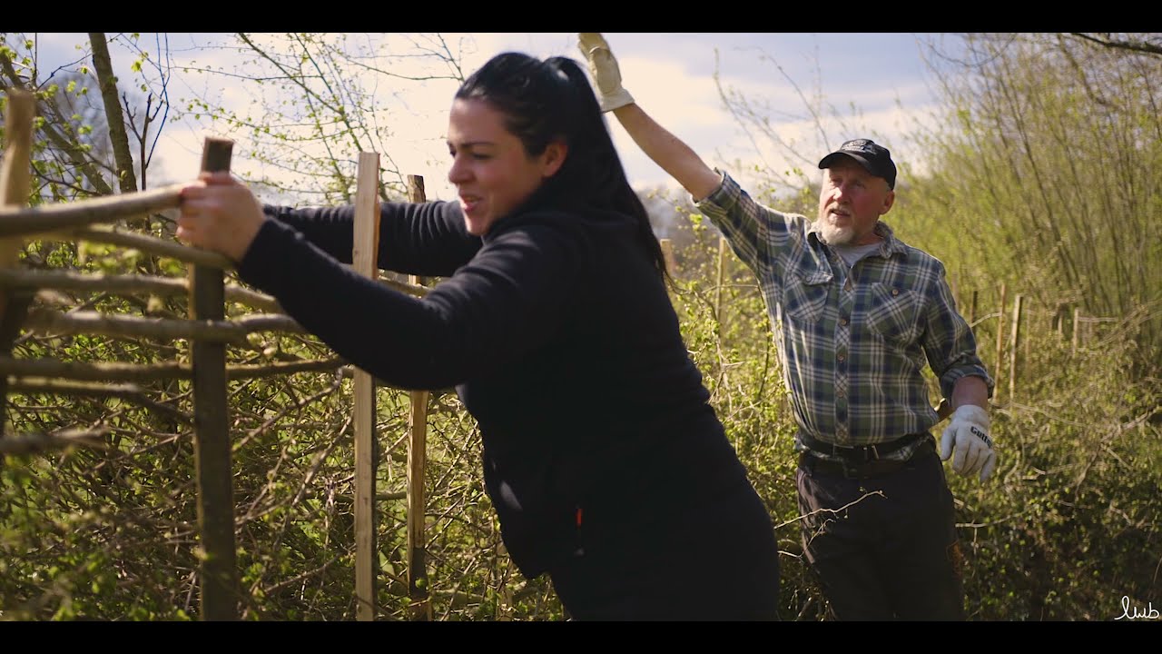 Hedgelaying Training Courses -  V2 Nov. 21