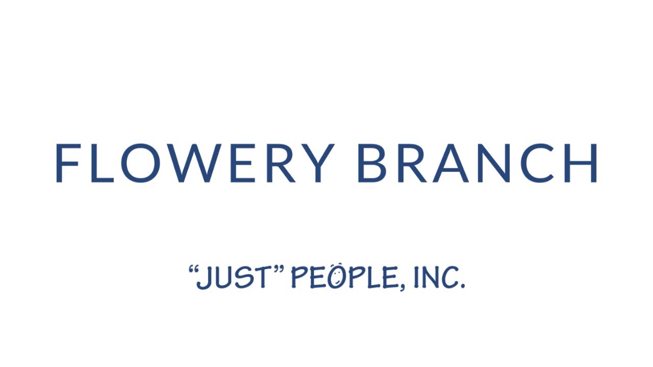 Flowery Branch Village