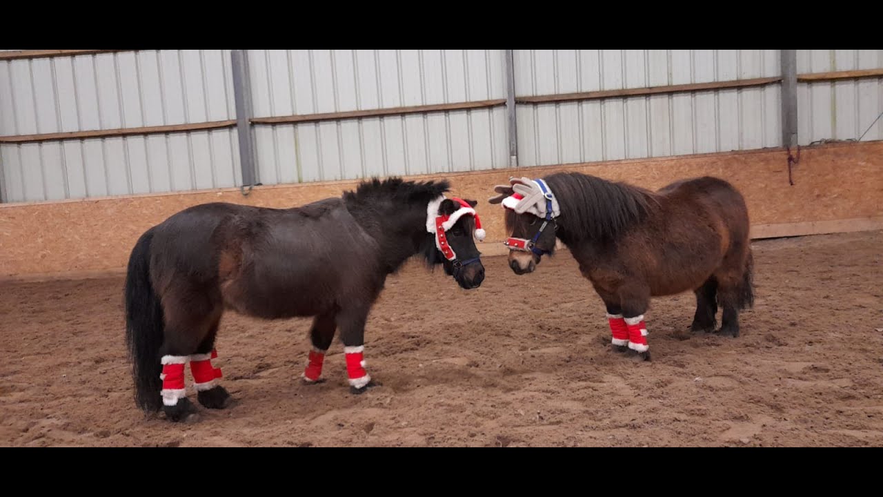 Frohe Weihnachten 2020 wünscht der Reitverein Integration!