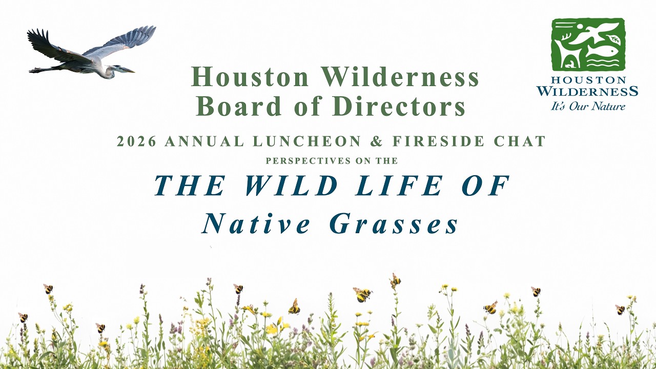 2026 Annual Luncheon Fireside Chat - Perspective on the Wilde Life of Native Grasses