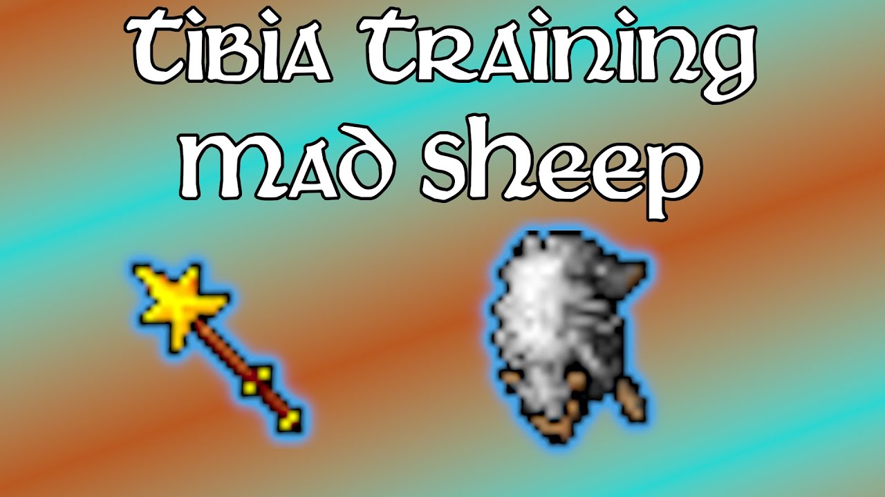 Mad Sheep Training (2023)