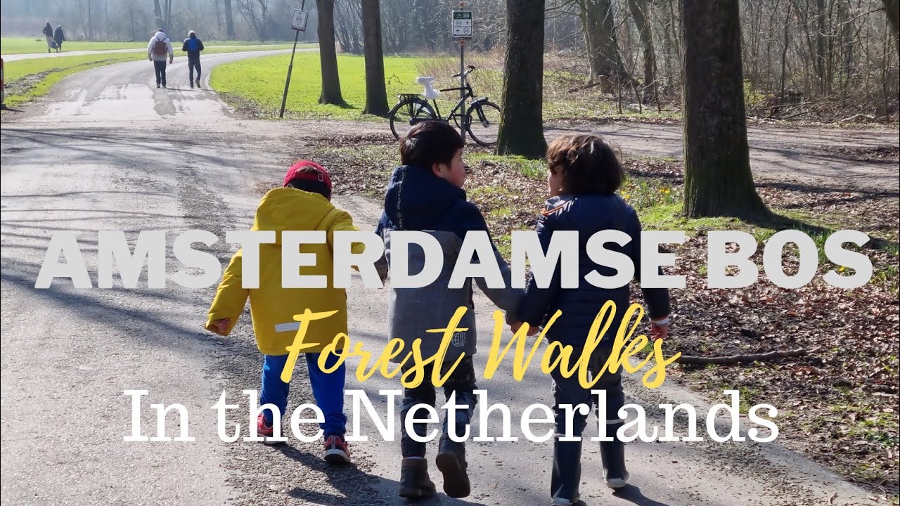 Amsterdamse Bos, Amstelveen | Amsterdam the Netherlands