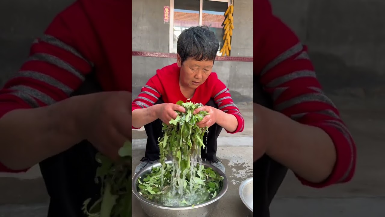 平凡的烟火气，最能治愈人心，虽普通但每一天都泛着幸福的光，农村遍地都是宝，大家吃过蒲公英馅的包子吗？#记录我的农村生活 #乡村美食 #农村孩子的童年 @DOU+上热门 @DOU+小助手