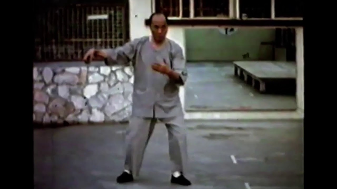 Huang Sheng Shyan Short Form 37 祖师黄性贤太极短架37式。