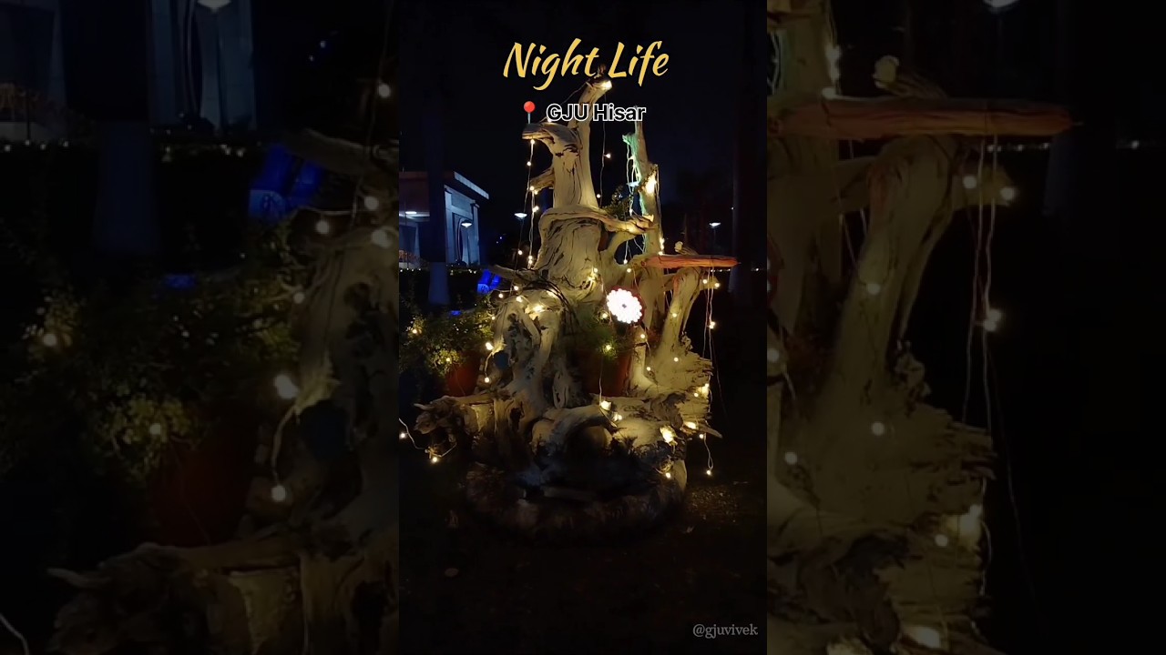 Night Life GJU Hisar #gju Guru jambeshwar University of Science technology