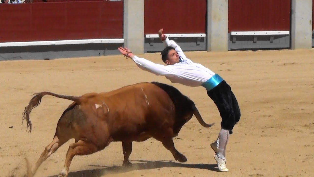 Madrid 2016 Cortes en  Las  Ventas
