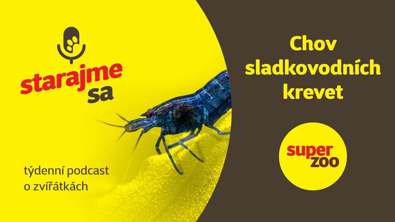 Chov sladkovodních krevet | Podcast Super zoo