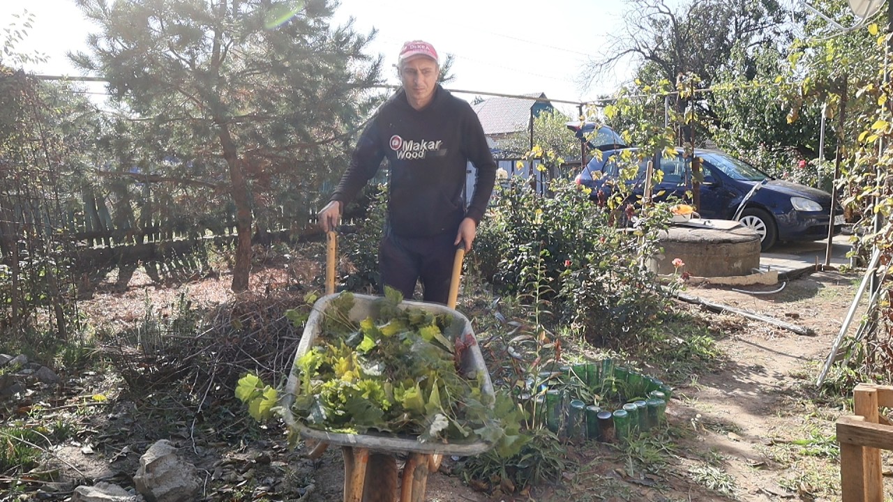 I'm cleaning the yard, tending to the grapes, and cooking up some delicious treats.