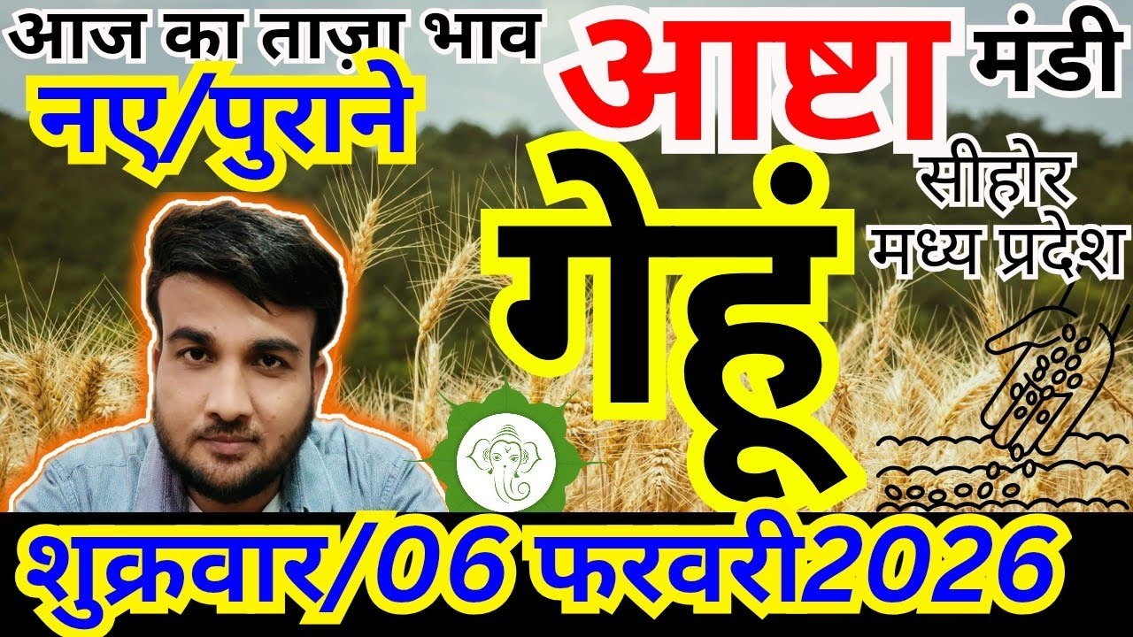 🌾 गेहूं के भाव लुढ़के 📉 | मंडी में मंदी का कारण | आज का गेहूं भाव