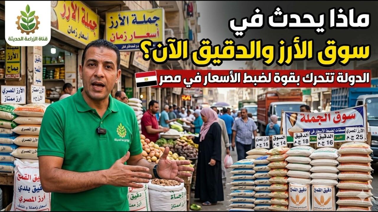 اسعار الارز الشعير اليوم هل فعلاً الحكومة ستتدخل لتحديد الأسعار؟