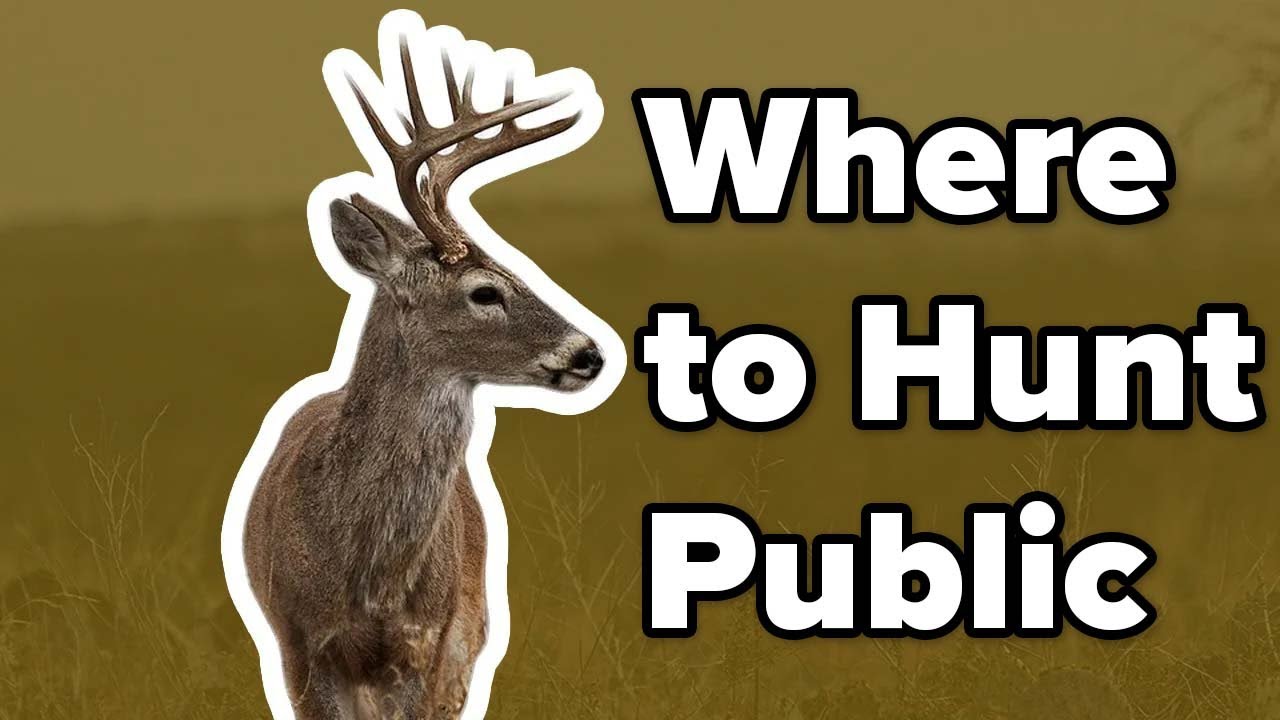 Where To Hunt Public