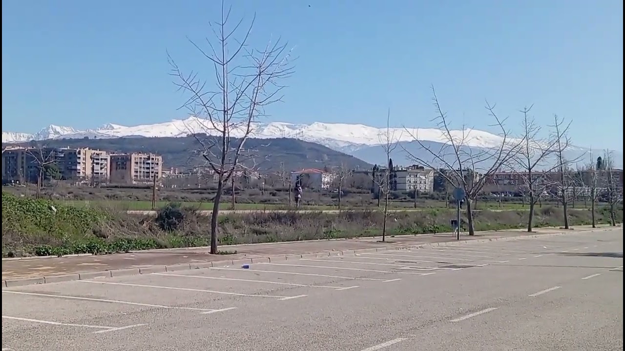 Buenos días PJlcmf 21.2.2026. . San Damián. ¡Enséñame, Señor, tu camino,para que siga tu verdad.!