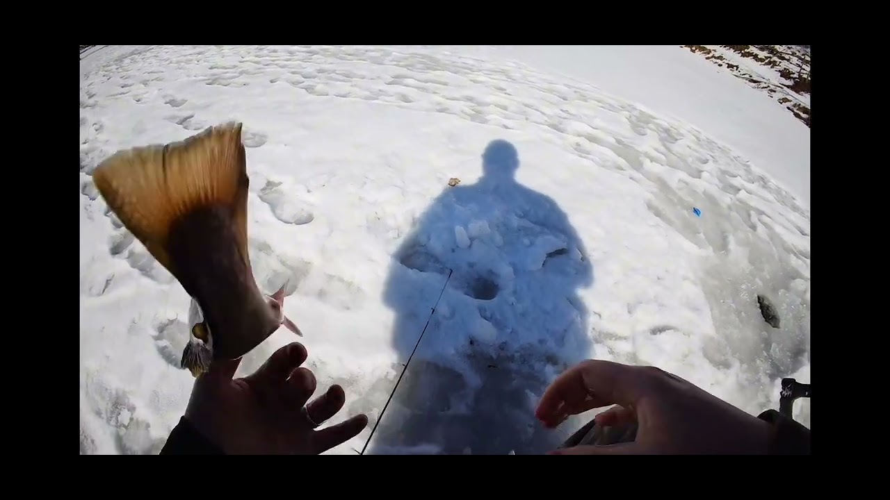 Ice fishing, catch, clean and cook for ￼ trout ￼