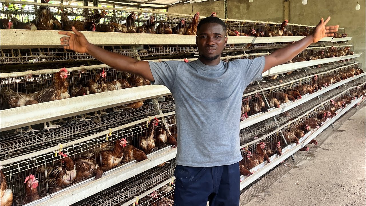 HOW TO INCREASE PROFIT IN POULTRY PRODUCTION