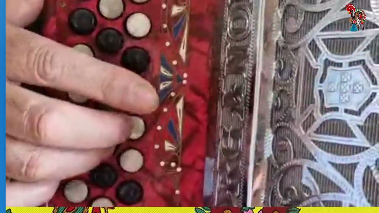 Malmequer 🪗Concertina 🎈Tradição 🎼Malmequer Mentiroso 👍Tradições de Portugal