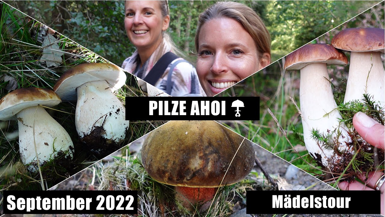 Mädelstour in die Pilze - September 2022