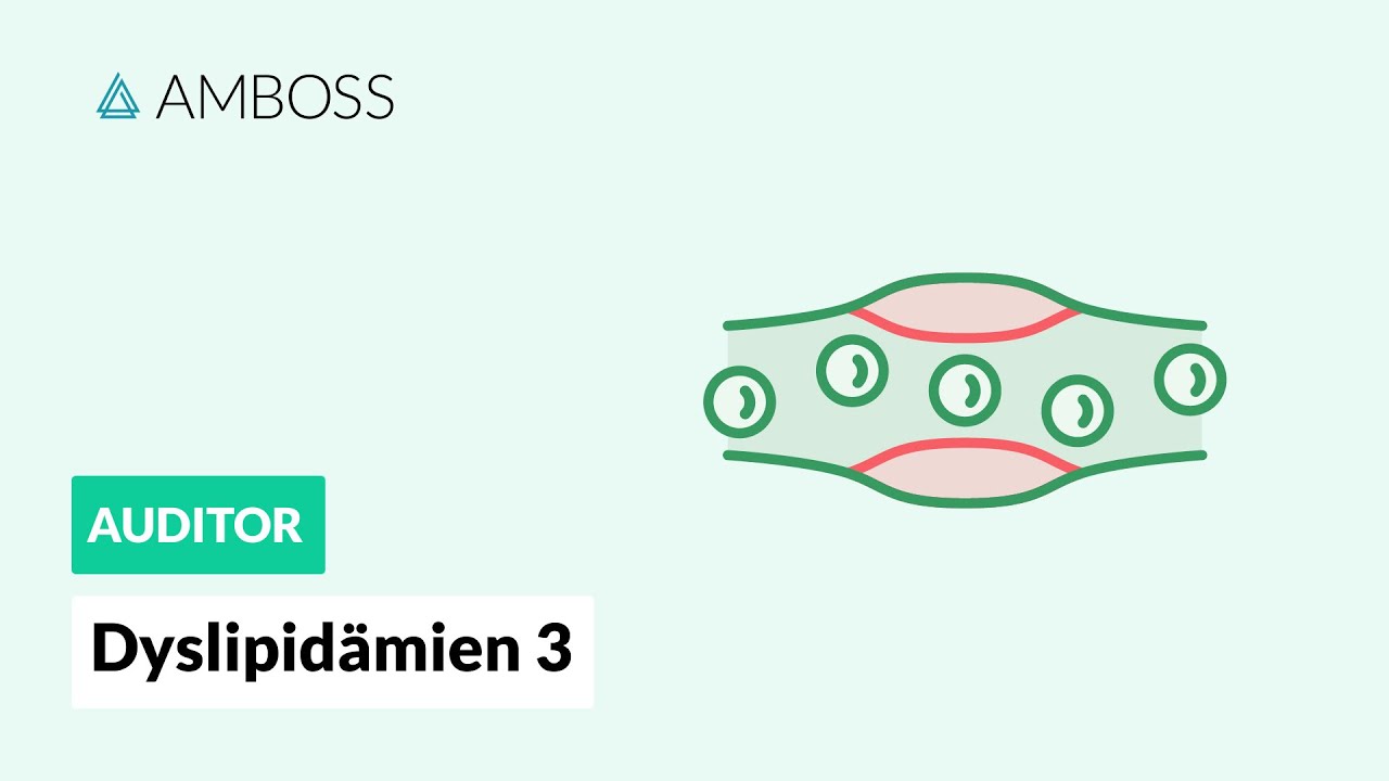 Dyslipidämien Teil 3 – Atherosklerose -- AMBOSS Auditor