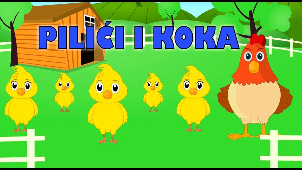 Dječje pjesme - TOP 20 | Pilići i koka i mnoge druge