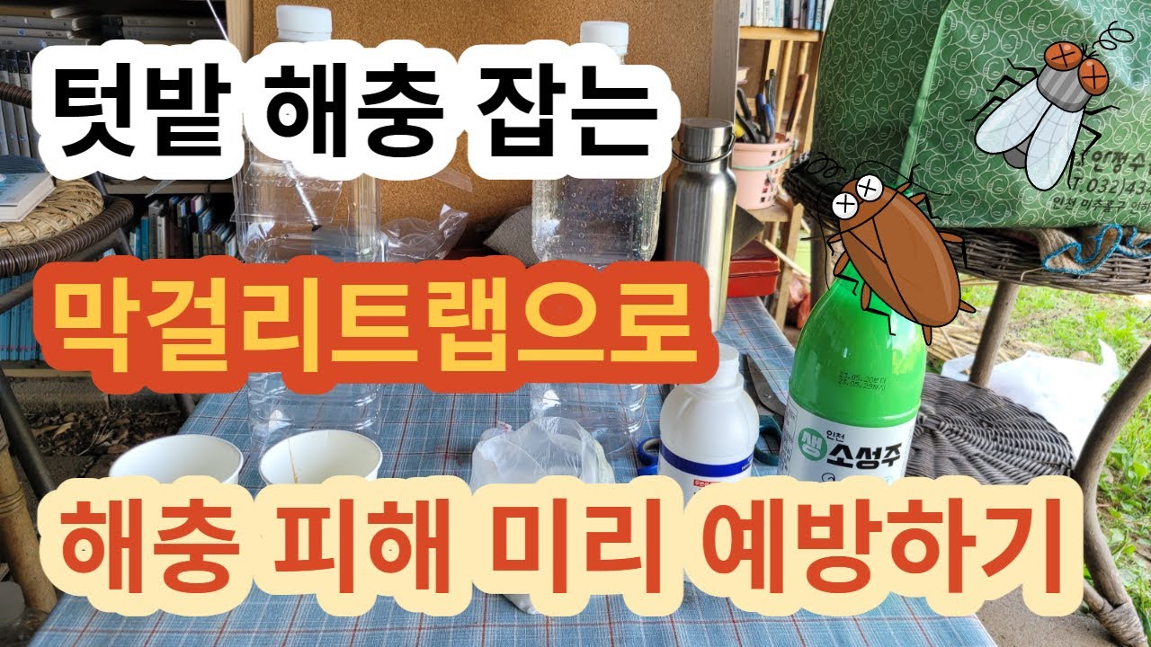 해충 잡는 막걸리트랩 만드는법