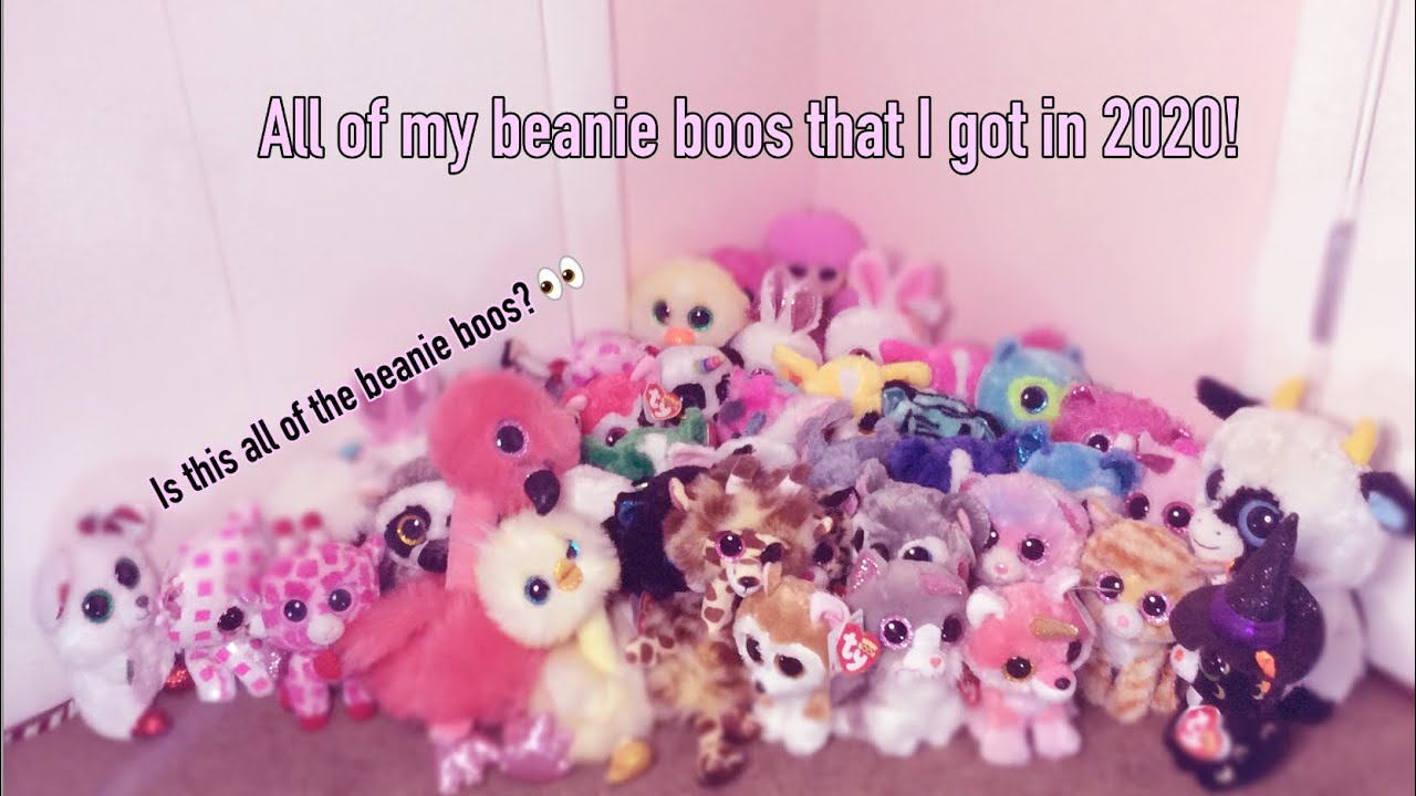 All of the beanie boos I got in 2020! 🎉