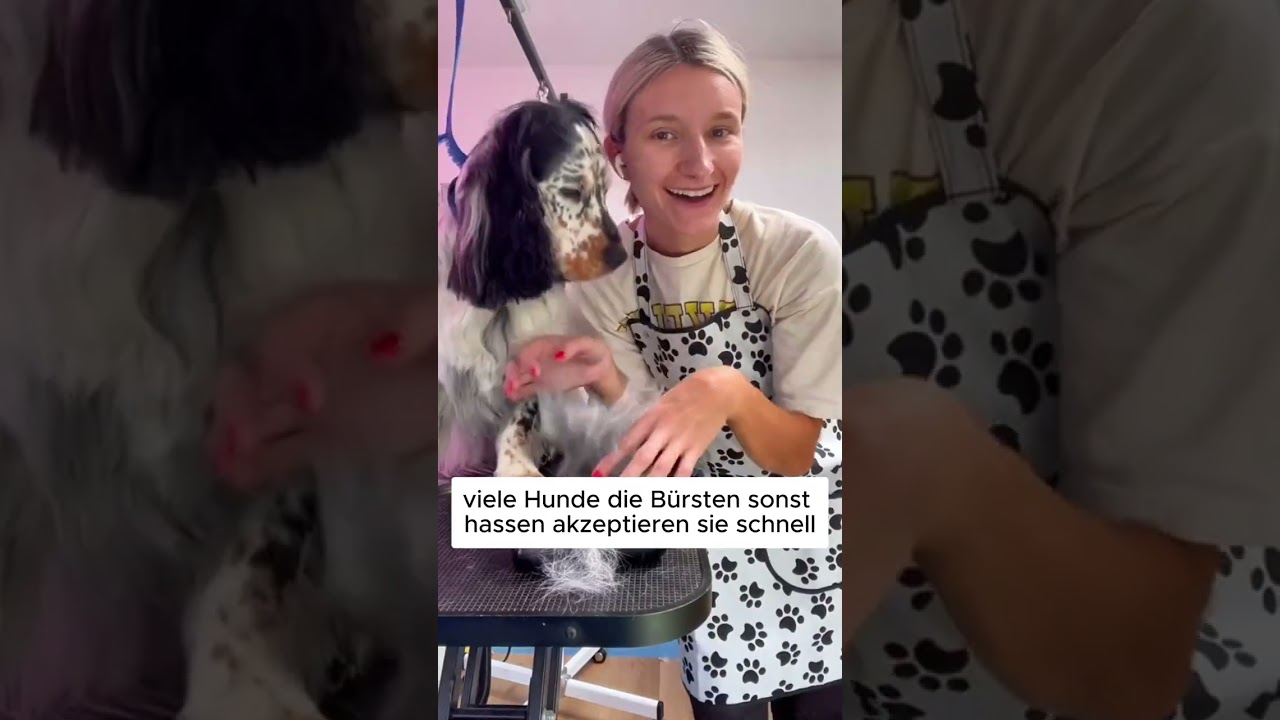 Entferne das Unterfell deines Hundes in Sekunden &ndash; ganz ohne Ziepen 🐶 #Hundeliebe #Pfotenmond #Hund