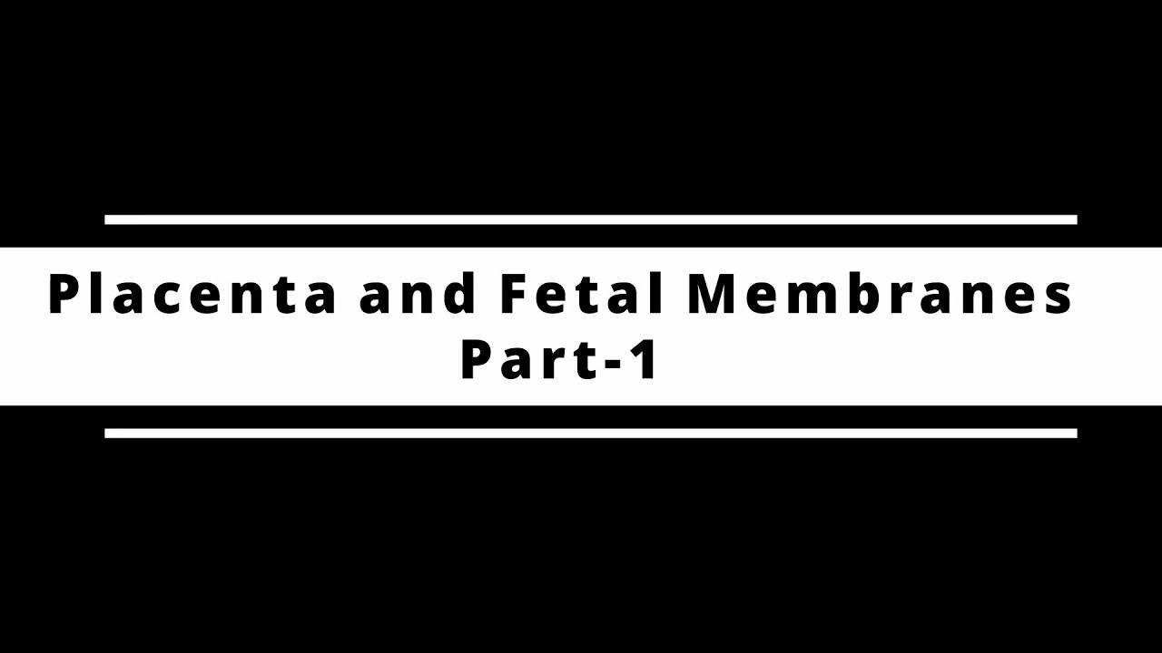 placenta and fetal membranes