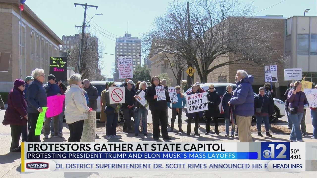 Protesters in Mississippi voice concerns with Trump, Musk