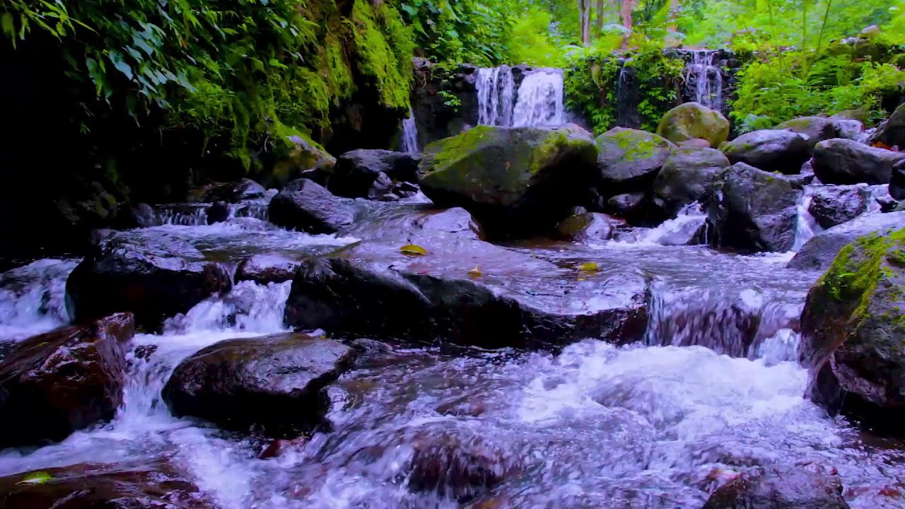 Mountain River Flowing Nature Sounds to Support Focus and Creative Thinking